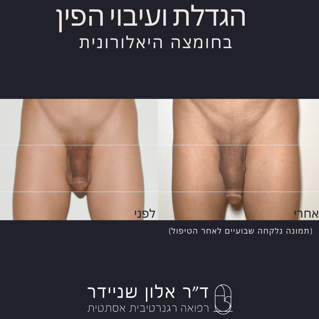 תמונה 2