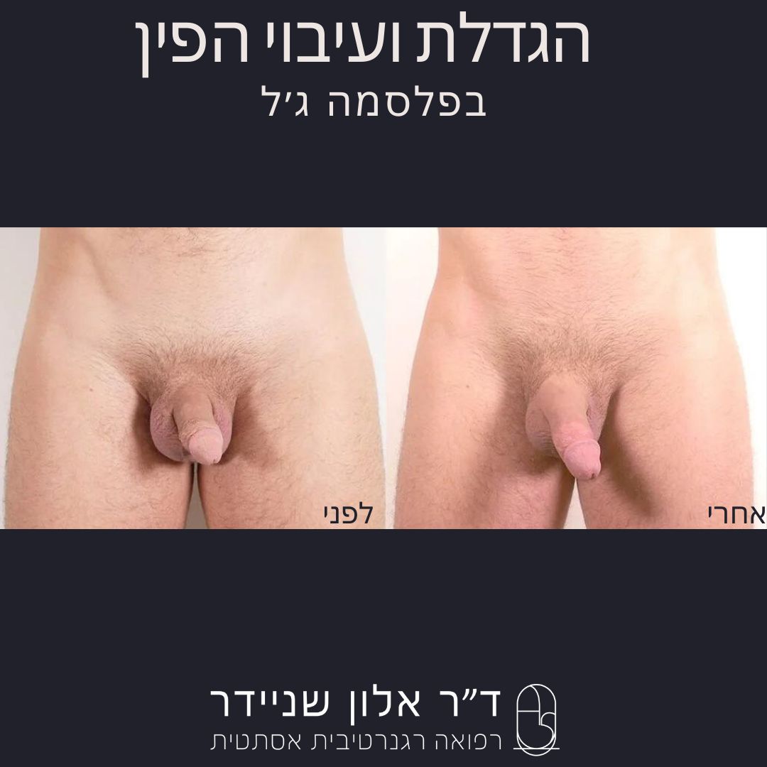 תמונה 4