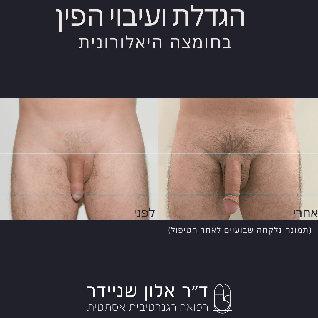 תמונה 4